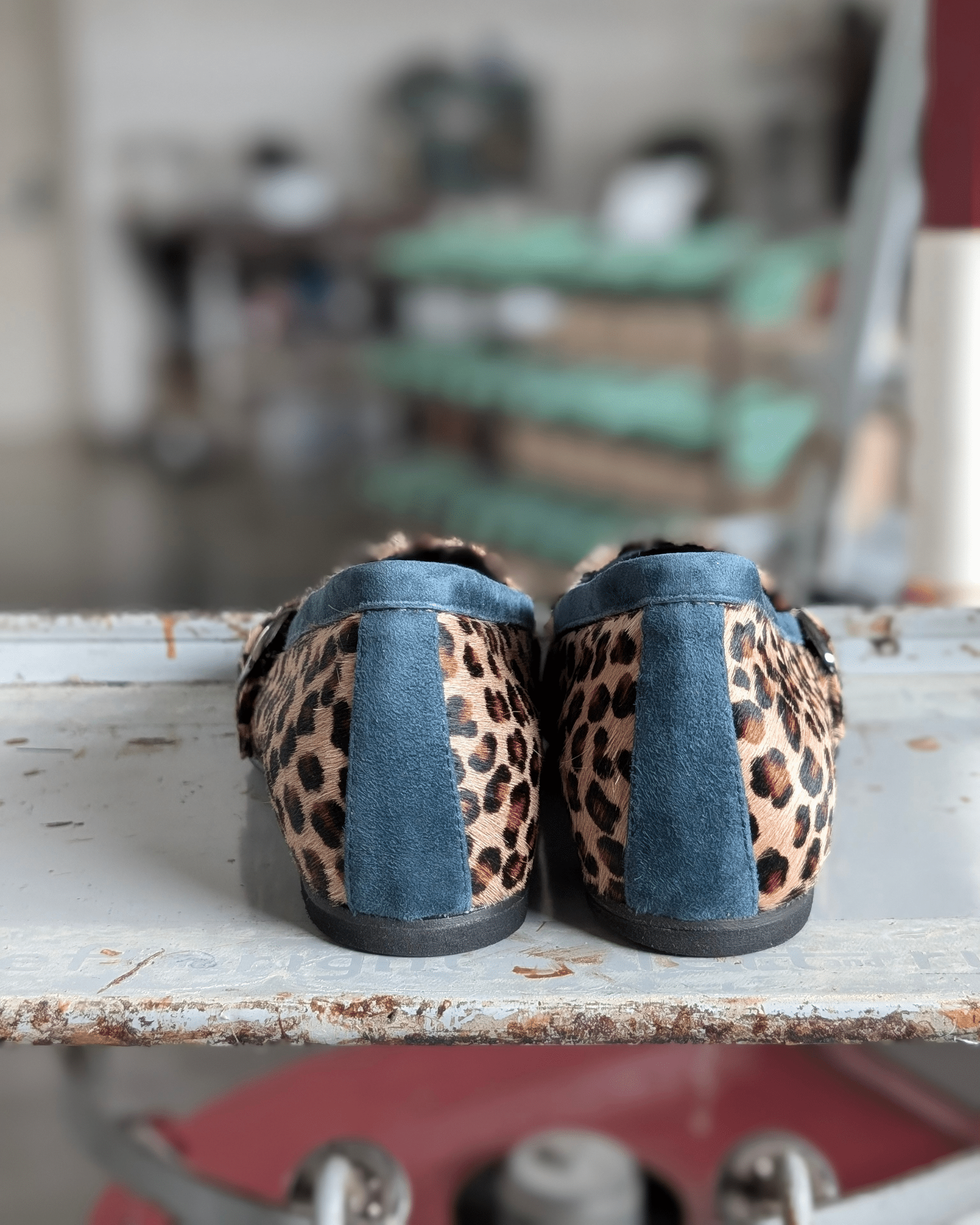 DORIS animalier (3)