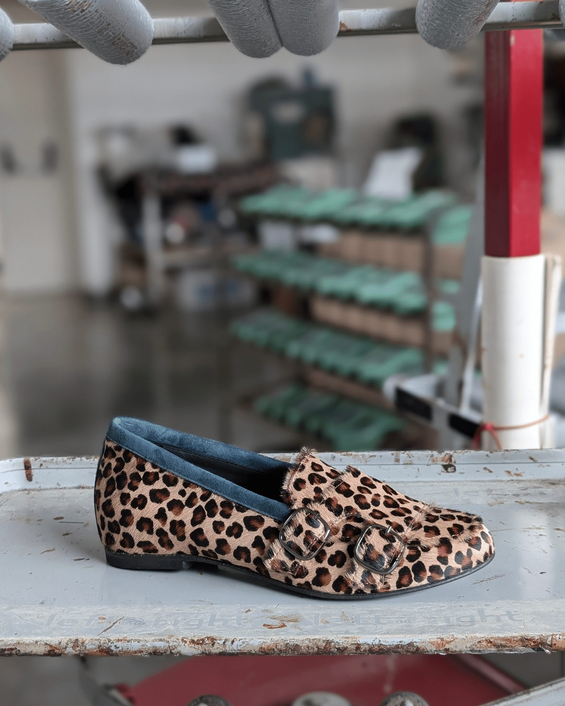 DORIS animalier (4)