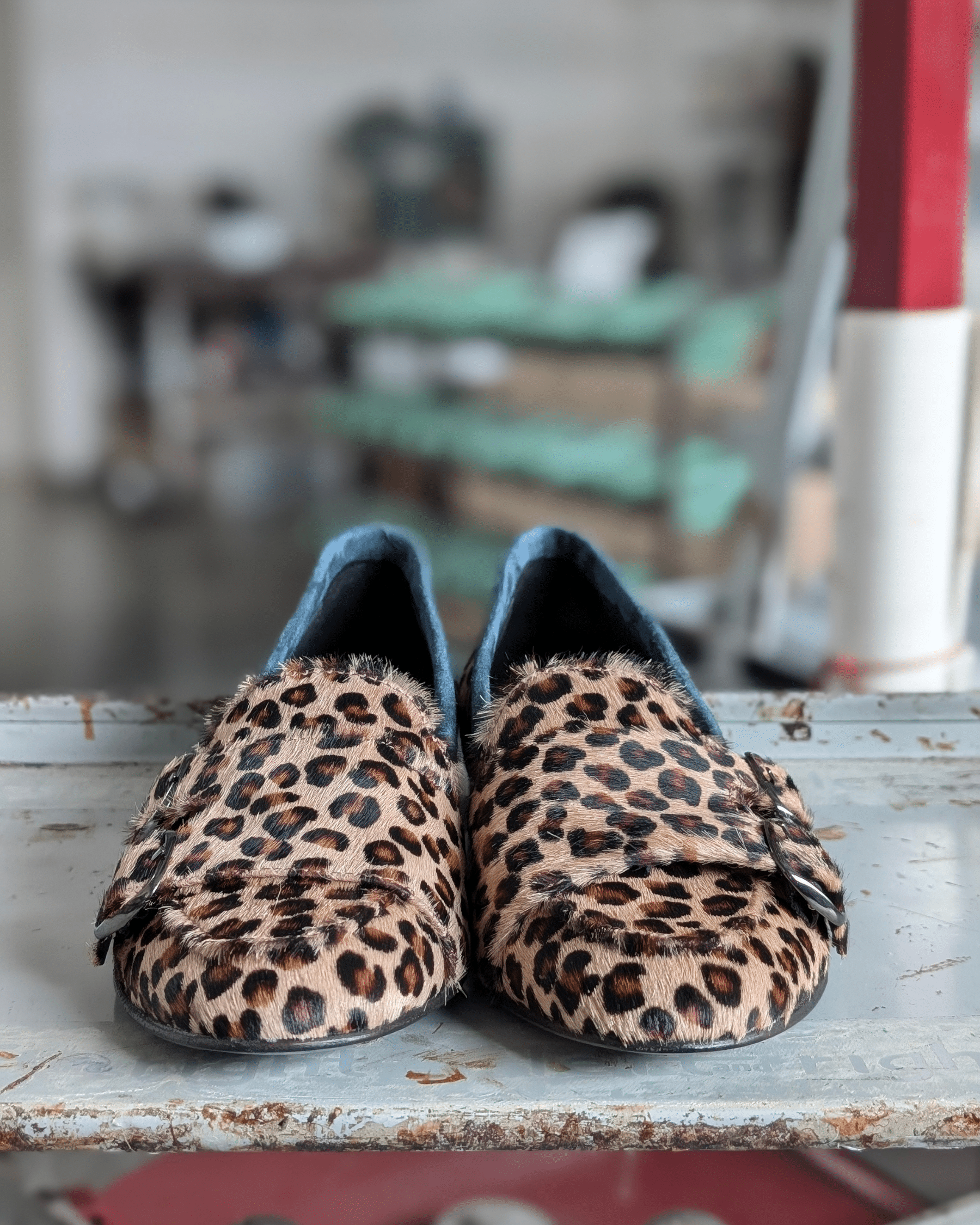 DORIS animalier